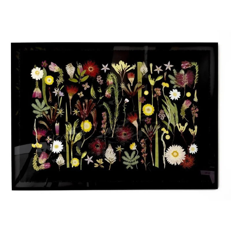 Australian Wildflowers (HP)