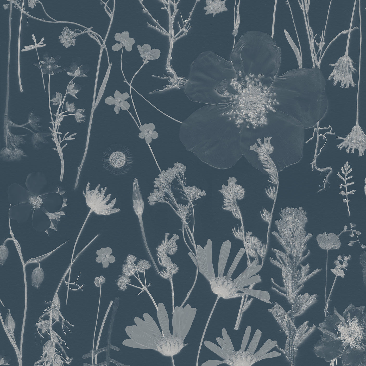 Among the Wildflowers - Deep Sea Blue