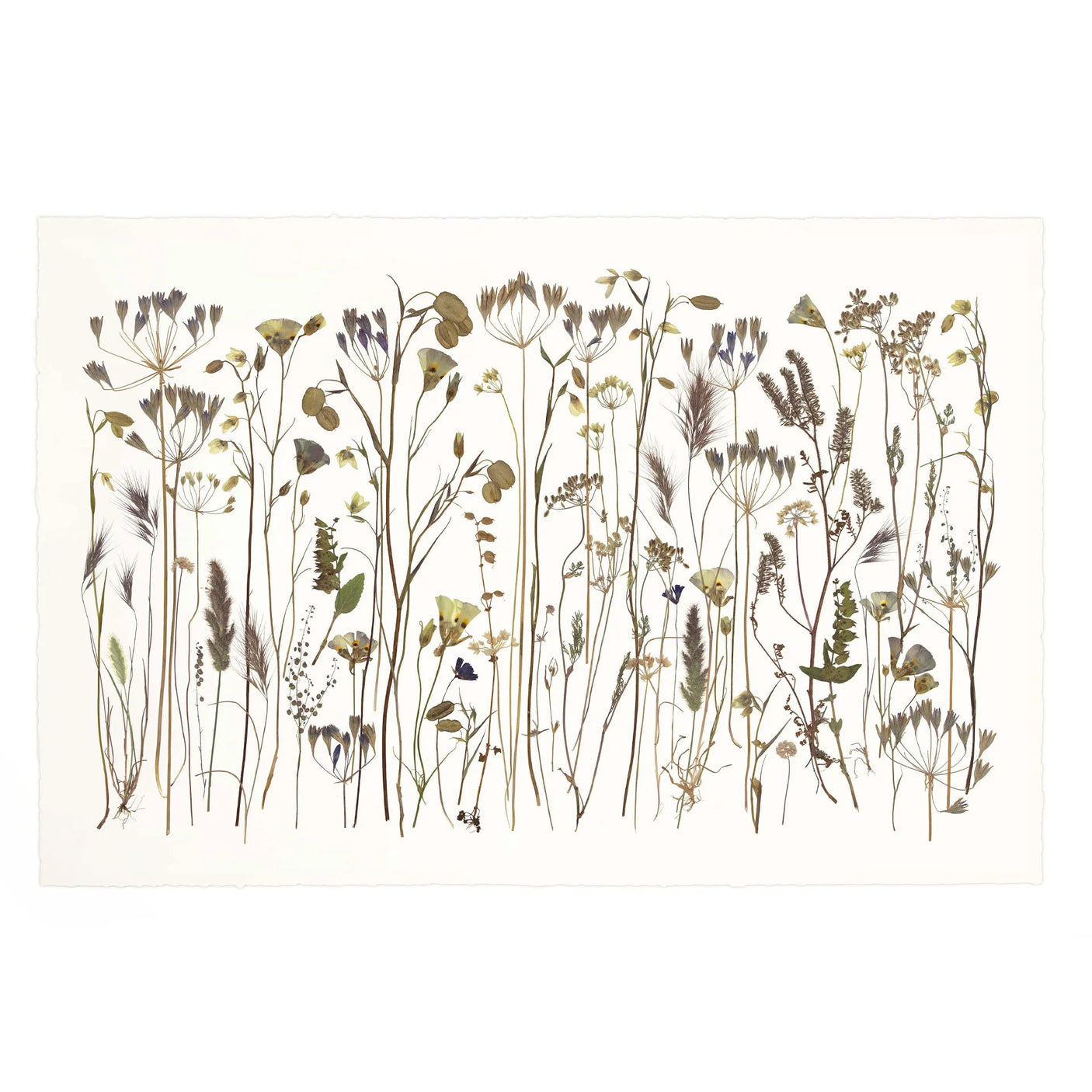 As Spring Fades
