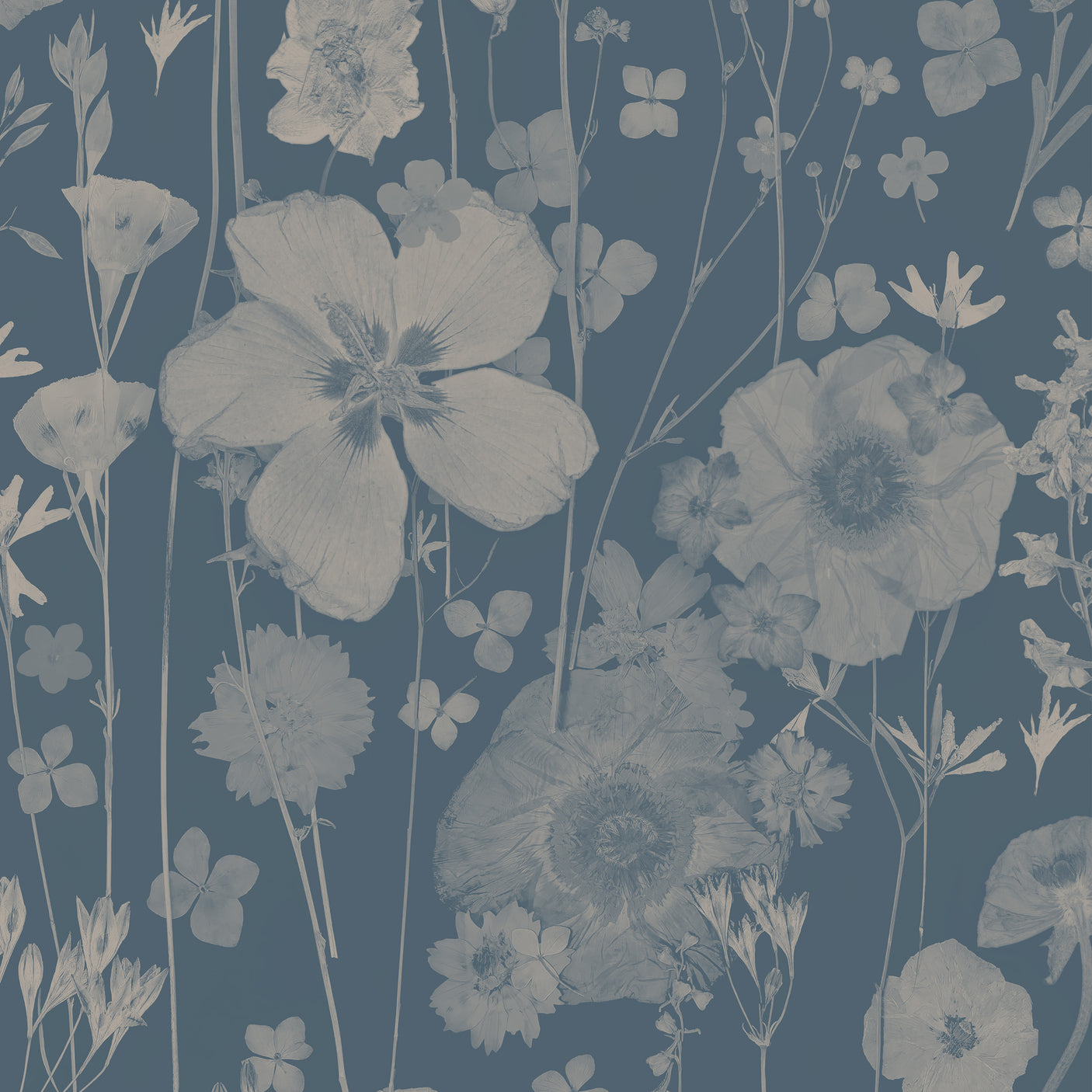 Beautiful Stranger - Dusty Blue