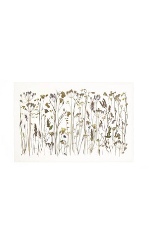As Spring Fades