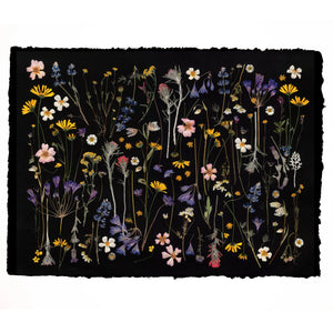 California Farm and Wildflower Botanical Collage